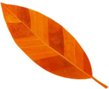 ワークショップ