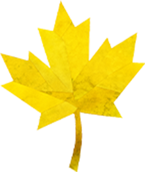 ワークショップ