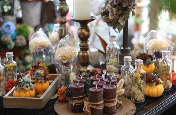 Flower &Design Salut